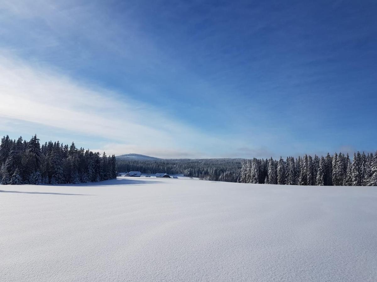 Horska Kvilda - Ubytovani U Chvalu Eksteriør billede